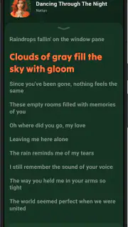 Lark Player: Muziekspeler MP3 screenshot 3