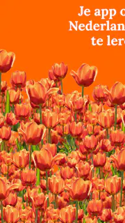 Nederlands leren - beginners screenshot 8
