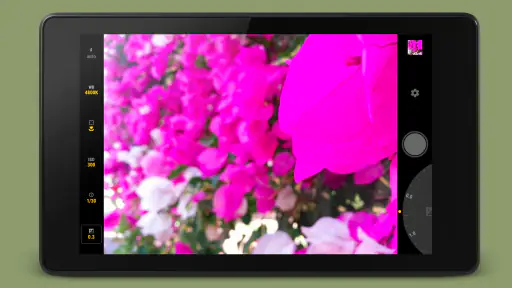 Manual Camera screenshot 7
