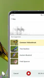 Merlin Bird ID by Cornell Lab screenshot 3