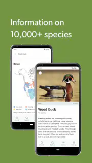 Merlin Bird ID by Cornell Lab screenshot 8