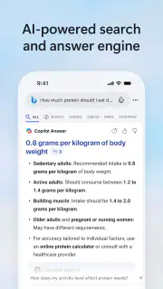 Microsoft Bing Search screenshot 2