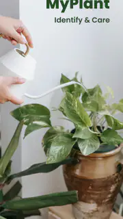 MyPlant: Identify & Care screenshot 8