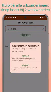 Nederlandse Werkwoorden screenshot 4