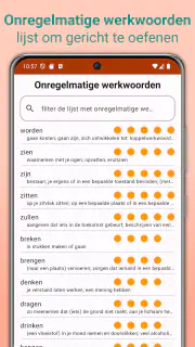 Nederlandse Werkwoorden screenshot 5