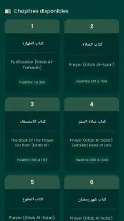 Noor - نور screenshot 4