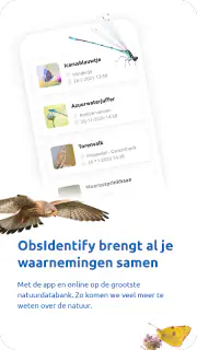 ObsIdentify screenshot 2