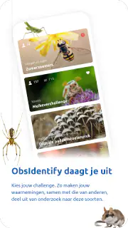 ObsIdentify screenshot 5