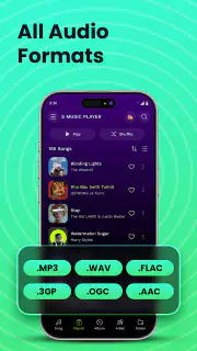Offline Music Player - MP3 App screenshot 4