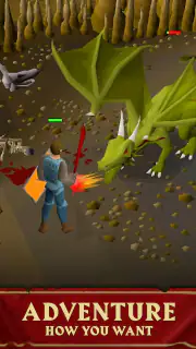 Old School RuneScape screenshot 2