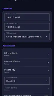 OpenConnect screenshot 7
