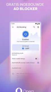Opera-browser met VPN screenshot 1