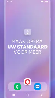 Opera-browser met VPN screenshot 8