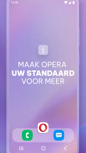 Opera-browser met VPN screenshot