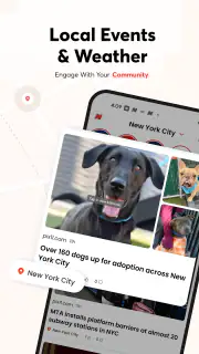 Opera News: breaking & local screenshot 3