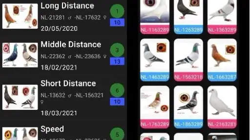 Pigeon Loft Manager screenshot 2