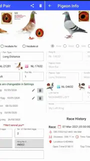 Pigeon Loft Manager screenshot 3