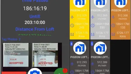 Pigeon Loft Manager screenshot 8
