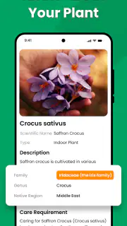 Planten Herkennen - Plantio screenshot 2