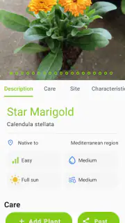Plantenziekte screenshot 4