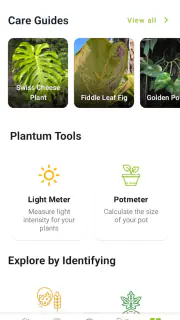 Plantenziekte screenshot 5