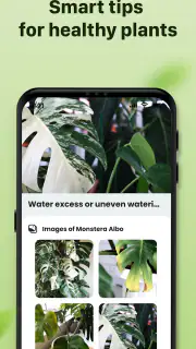 Plantid: Planten Herkennen screenshot 5