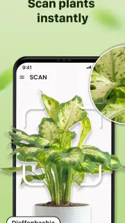 Plantid: Planten Herkennen screenshot 6