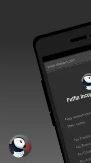 Puffin Incognito-browser screenshot 1
