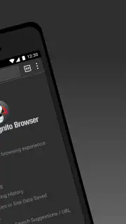 Puffin Incognito-browser screenshot 2