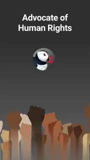Puffin Incognito-browser screenshot 3