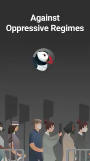 Puffin Incognito-browser screenshot 4