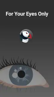 Puffin Incognito-browser screenshot 5