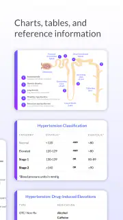Pyrls screenshot 3