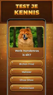 Quiz-Boom: Trivia Blocks screenshot 2