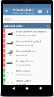 Sibley Birds 2nd Edition screenshot 2