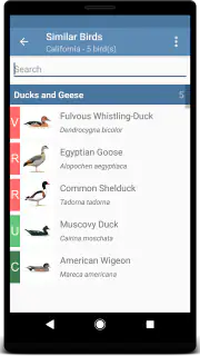 Sibley Birds 2nd Edition screenshot 4