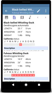 Sibley Birds 2nd Edition screenshot 5