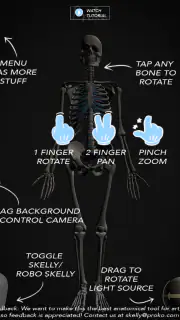 Skelly: Poseable Anatomy Model screenshot 8