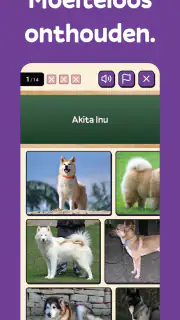 Squiz - Leren met Quiz cultuur screenshot 2