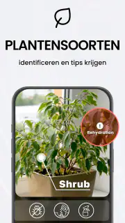 TapScanner - Scanner naar PDF screenshot 4