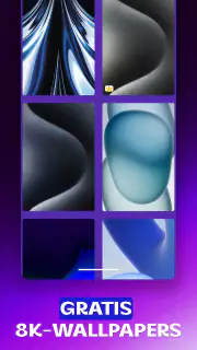 Telefoonbeltonen 2026 screenshot 4