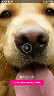 Video Live Wallpapers screenshot 5