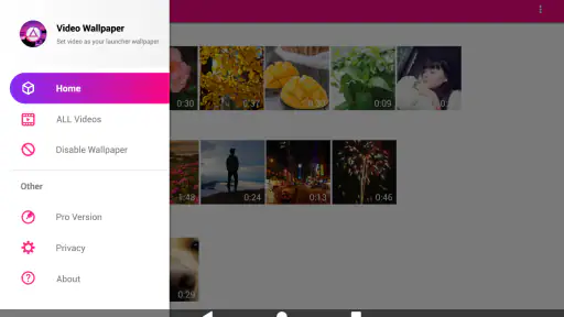 Video Live Wallpapers screenshot 8