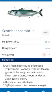 Vissengids screenshot 3