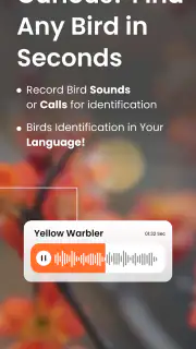 Vogelgeluiden Herkennen App screenshot 2