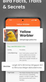 Vogelgeluiden Herkennen App screenshot 3