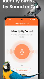 Vogelgeluiden Herkennen App screenshot 5