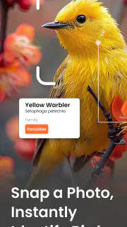 Vogelgeluiden Herkennen App screenshot 7