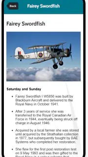 Wales Airshow screenshot 4