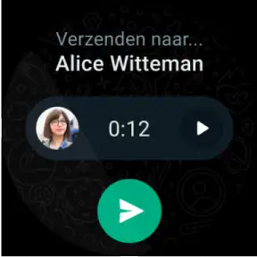 WhatsApp Messenger screenshot 8